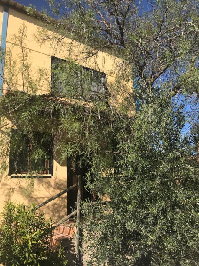Casa Rural “Las Espinosas” Villanueva del Trabuco Zewnętrze zdjęcie